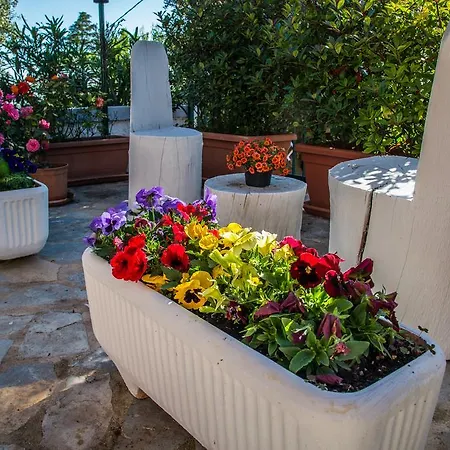 Casa Mariangi Bed & Breakfast *